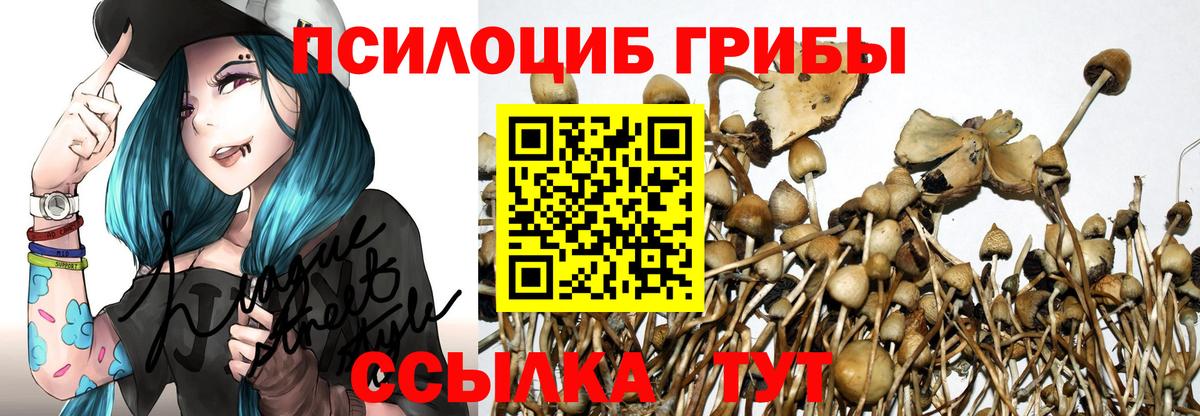 Галлюциногенные грибы ЛСД Камышин