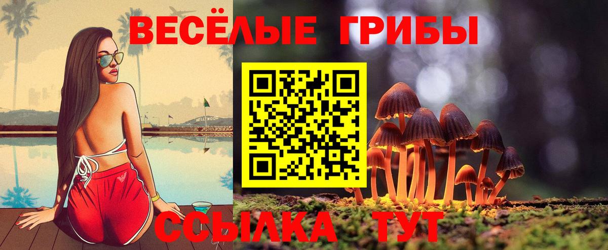 Камышин  Галлюциногенные грибы мицелий  Вход с VPN  Галлюциногенные грибы Magic Shrooms 
