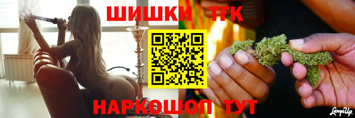 Марихуана план  Вход с VPN  Бошки Шишки VHQ  Бошки Шишки конопля  Камышин  МАРИХУАНА THC 21% 